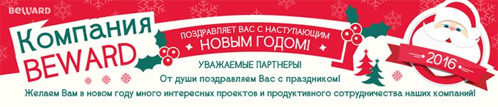 Итоги года: партнеры — о BEWARD
