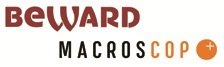 Совместный семинар BEWARD и MACROSCOP