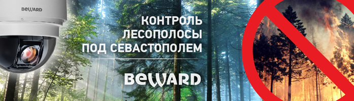 Лесополоса в урочище Ласпи под Севастополем