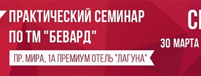 Приглашаем на практический семинар BEWARD в Липецке
