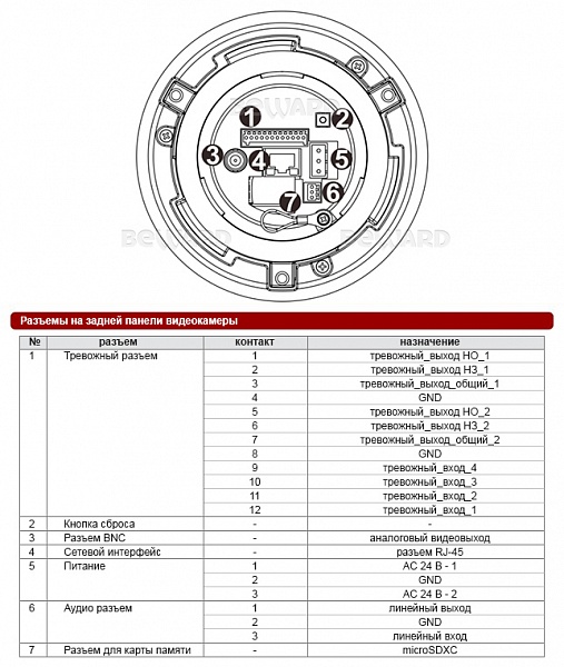Купольная IP камера BD914136P