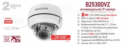 Новинка! 2 Мп IP камера B2530DVZ уникальной антивандальной конструкции «камера в камере»
