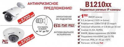 Антикризисное предложение! Мегапиксельные IP-камеры B1210xx