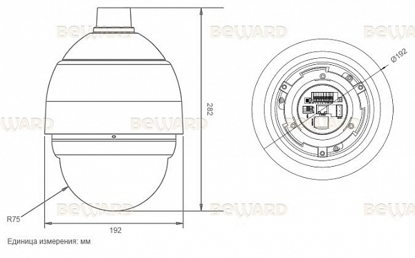 Купольная IP камера BP31P031WSP