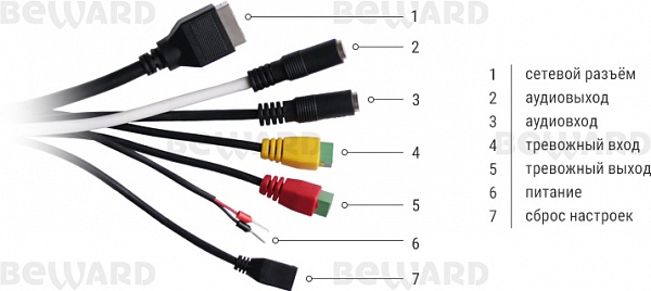 B91455-5H купольная IP камера